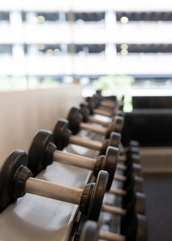 A row of dumbbells in a gym 